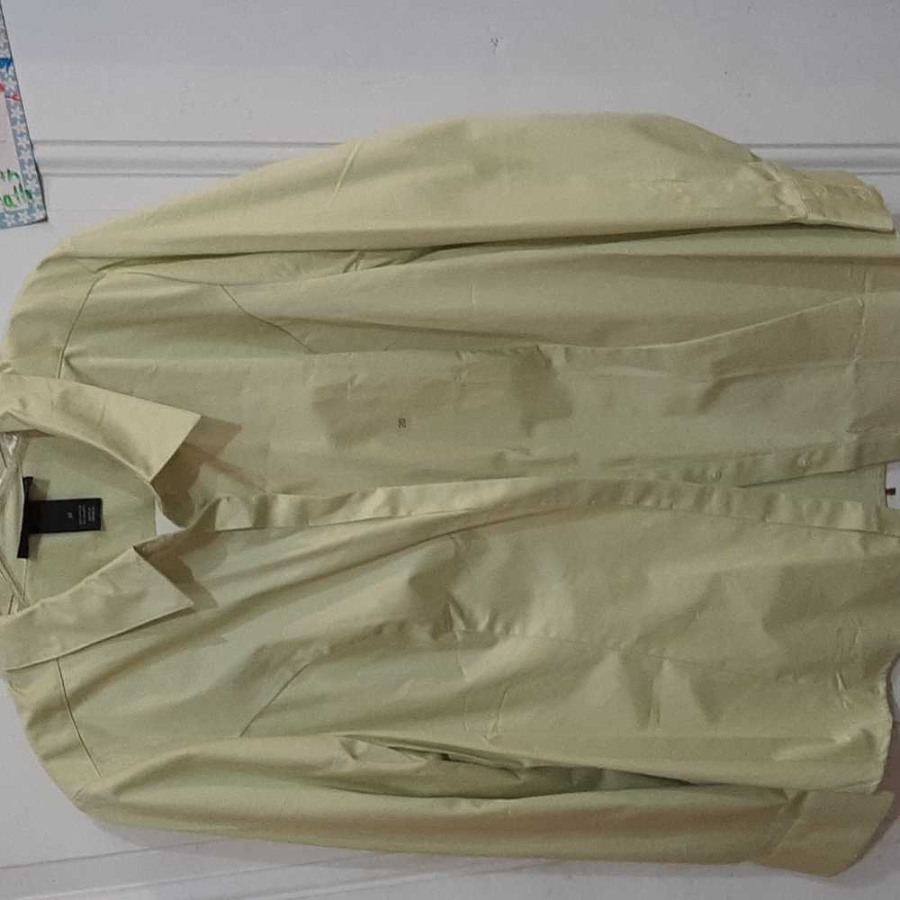 Lane Bryant Light Green Button Down